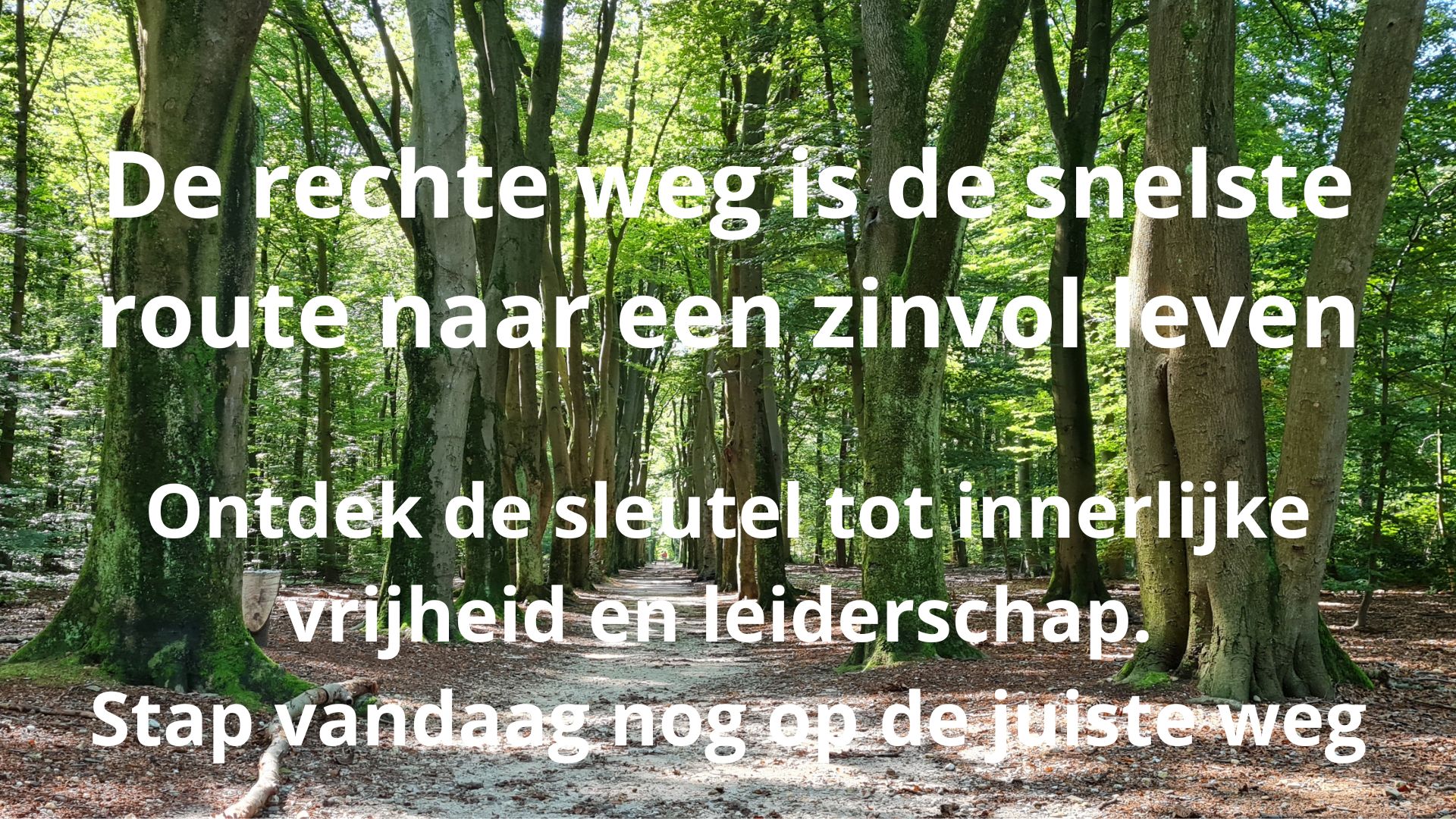 De-rechte-weg-is-de-snelste-weg-naar-een-zinvol-leven